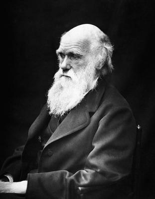 Felicidades, Mr. Darwin !!